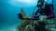 GoPro Hero 13 Black Specialty Bundle image 6